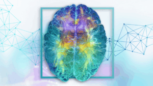 Diplomado de Salud Cerebral 5.0
