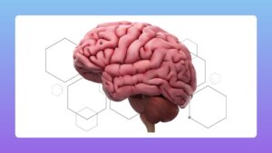 Entrenamiento en Neuroprotección y Salud Cognitiva. Primer paso hacia la prevención. Agosto 2026